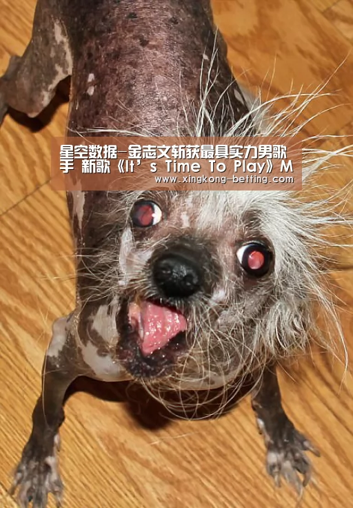 星空赛事