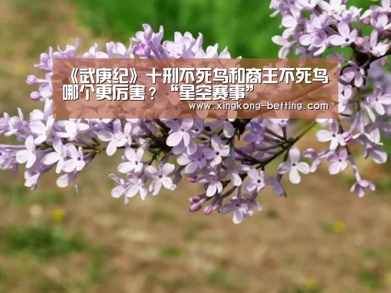 《武庚纪》十刑不死鸟和商王不死鸟哪个更厉害?“星空赛事”(图3) 星空数据